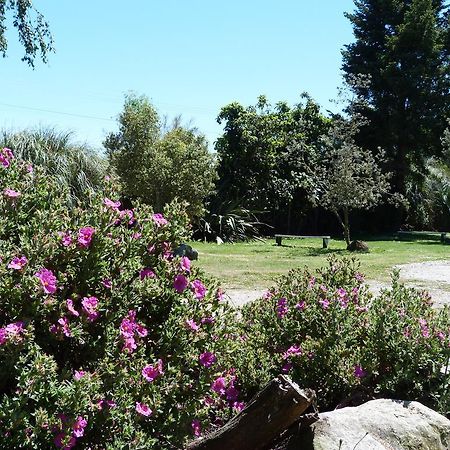 מוטואקה Fernwood Holiday Park חדר תמונה